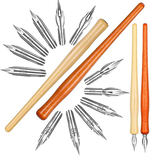 Tyqour Set di 2 penne e supporti, per calligrafia, con 12 penne, penne per calligrafia, penne per calligrafia, penna da disegno per scrivere, dipingere per fumettisti artisti
