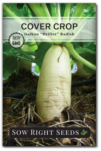 Sow Right Seeds - Driller Daikon Radish Seed for Planting - Cover Crops to Plant in Your Home Vegetable Garden - Enriches Soil - Suppresses Weeds - Non-GMO Heirloom Seeds - A Great Gardening Gift (1)