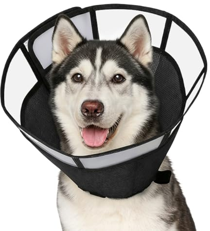 ASOUUNLD Collare Elisabettiano Cane,Collare Protettivo Cane,Imbuto per Cani Morbido Elisabettiano Regolabile 20-30cm per Cani Dopo Interventi Chirurgici