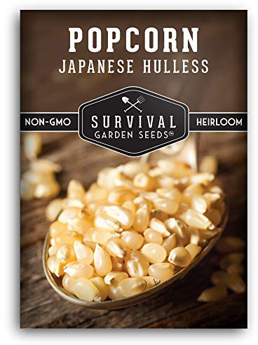 Survival Garden Seeds - Japanese Hulless Popcorn Seed for Planting - 1 Packet with Instructions to Plant and Grow Delicious Kernel Popcorn in Your Home Vegetable Garden - Non-GMO Heirloom Variety