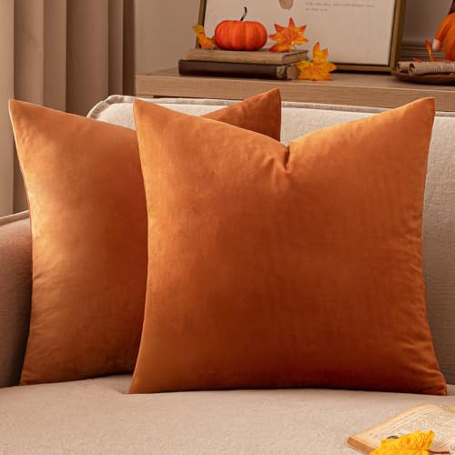 EMEMA Kissenbezug 40x40 Samt Dekokissen Herbst Orange Sofakissen 2er Set | Kissenhülle Dekorative Pillow Case Home Decoration Lendenkissen Wurfkissenbezug Sofa Wohnzimmer Schlafzimmer
