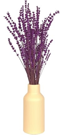 Philaro Lavendel Strauß 35-50cm - Trockenblumen Deko, Blumenstrauß, DIY-Bouquet, Dekoration für Wohnzimmer, Tischdeko, Hochzeitsdeko, Lavendel Bouquet