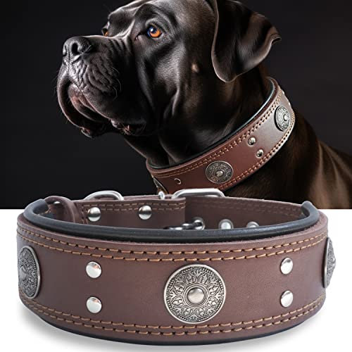 Hundehalsband Leder, 5 cm Breites Robustes Echtes Lederhalsband, Handgefertigt, Weich und Luxuriös, Auffällige Beste Wahl für Große und Mittelgroße Hunderassen, Braun S