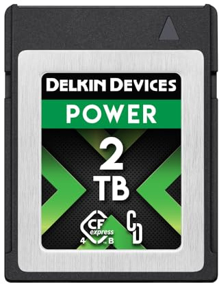 Delkin Power Memory Card - CFexpress Type B 4.0 for Digital Cameras | Ideal for Express Transfer of Images and Videos for Storage | Memory Card Storage (2TB)
