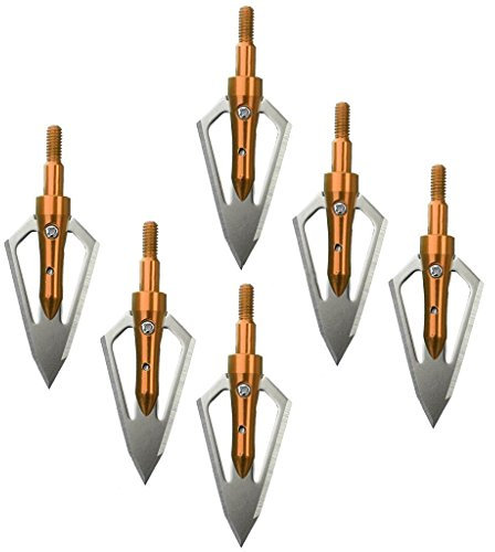 2 Blade 100gr Jagdspitzen Pfeilspitze Scharf Broad Köpfe Jagd Bogenschießen Pfeil 6 Stück (Golden)