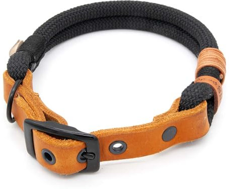 Hundehalsband aus Tau & edlem Leder | Midnight Mystery | verstellbar & robust | Elegantes, handgefertigtes Design | Halsband Hund für mittelgroße & große Hunde mit Schnalle – schwarz
