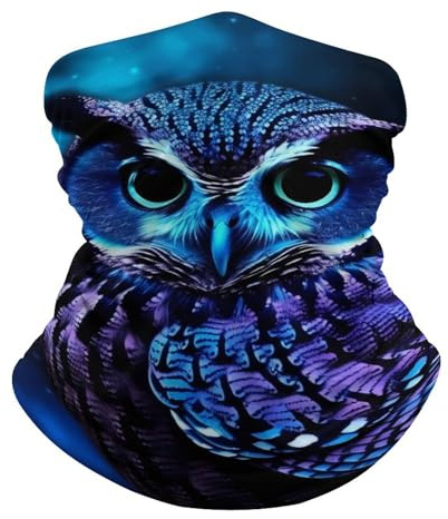 Röhrenschal Blaue Eule Prämie Kopftuch Bequem Nackenwärmer für Ski Motorrad 26X30cm