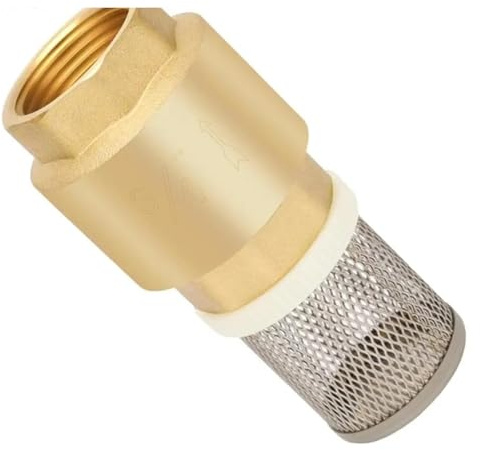 Clapets anti-retour en laiton avec filtre à mailles, filetage interne de 3/4 po, pied