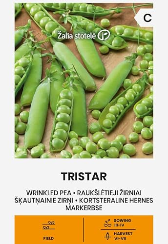 Zalia stotele | Piselli - TRISTAR Sementi per orto | Piselli medio-precoci | Resistenti al freddo produttivi | Semi per giardino | 1 bustina