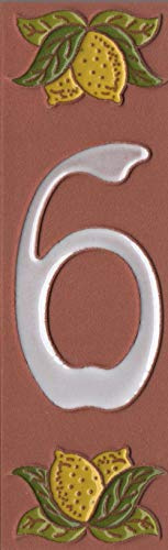 Piastrelle in vetro smaltato con numero civico in terracotta dipinta a mano, 15 cm x 5 cm, numero 6