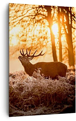 Wandbilder Dekoration Wohnzimmer Deer Heidekraut Tier Bilder auf Leinwand 80x120cm Leinwandbild mit Rahmen Schlafzimmer Küche Deko Wand Kunstdruck Art Groß XXL Wanddeko Bild Wall Canvas PA80x120-3043