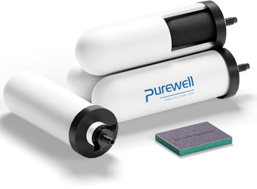 Purewell Éléments de purification en céramique PF-2, filtres de rechange pour filtres ProOne® et Berkey®, système de filtre à eau par gravité ProOne® ou Berkey® Big+ et système Purewell (lot de 4