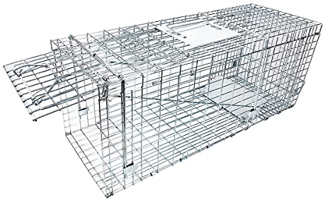 Large Collapsible Humane Live Animal Cage Trap No-Kill Trapping Kit for Humane Catch Release Rabbits, Stray Cat, Squirrel, Raccoon, All Fit Sized Animals, Heavy Duty, 2-Door 31x11.5x12.5