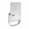 Beghelli 86151 Floodlight FL Proiettori da Esterno, 30W Bianco IP66 4K