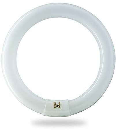 Bulbmaster FC12T9/CW 32 Watts 12 Inch Round T9 Fluorescent Circular Light Bulb, Cool White 4100K, FC12T9 2100 Lumens G10Q 4-Pin Base 32W Circline Ceiling Lights