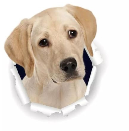 Labrador Auto-Aufkleber, Reflektierend, Wasserfest PVC, Niedliche Haustier Hund lustig Aufkleber für Auto, Laptop, Kühlschrank ((15cm/5.91inch))