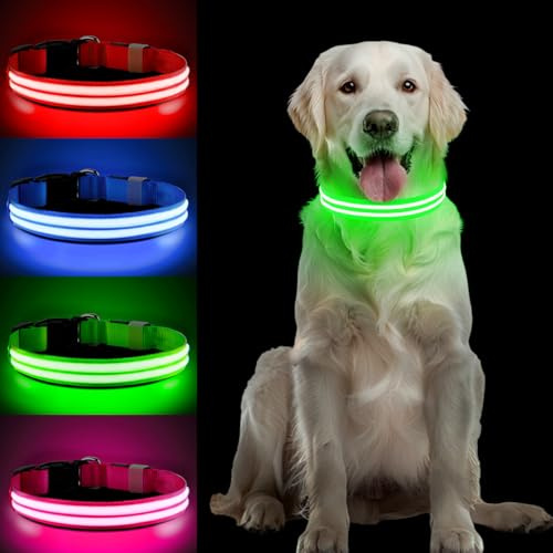 PcEoTllar Leuchthalsband Hund Aufladbar, LED Hundehalsband, Grün-M | mit 3 Leuchtmodi, Leuchtendes Hundehalsband Verstellbares Wasserdicht für Kleine Mittlere Große Hunde