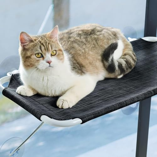 LSAIFATER Rundum 360° Sonnenbad mit unteren Stützen aus Metall, Katzen-Fenstersitz, Katzenhängematte, Fenstersitz für alle Katzen