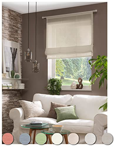 Neutex for you! Allure Raffrollo, Vorhang, Gardine, 140 x 120 cm, Taupe, Transparent