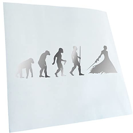Kiwistar - Autoaufkleber - Samurai Schwert Evolution - chrom - 50x15cm - Heckscheibe Auto Aufkleber wetterfest für Kfz LKW Mofa Truck - Sticker außen selbstklebend Tuning Zubehör für Fenster Fahrzeug