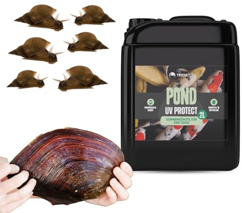 Teich Algenfrei Paket | Teichpflege Set für einen algenfreien und sauberen Gartenteich & Fischteich | 1x Teichzeit Pond UV Protect, 10x Spitzschlammschnecke & 10x Teichmuschel