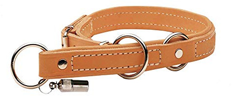 Akah Hundehalsband mit Begrenzung (persönliche Gravur möglich)