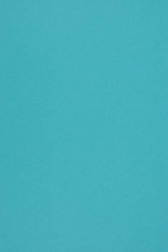 Netuno 100 fogli cartoncino riciclato azzurro formato A4 21 x 29,7 cm 285g Woodstock Azzurro carta colorata ecologica per stampa bricolage lavoretti biglietti partecipazioni inviti bomboniere
