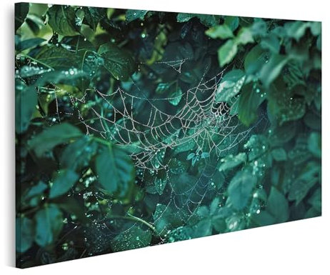 islandburner Prime Bild auf Leinwand Taufrisches Spinnennetz im Morgengrün Bilder Wandbilder Poster
