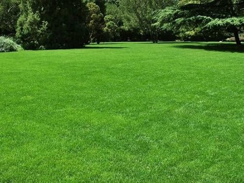 Ferrarium Eisensulfat Dünger 15 kg für ca. 750 m² (wasserlöslich) – Anti-Moos – Moos entfernen – Rasen grün machen – Rasendünger – Rasen verbessern – Rasen dunkelgrün färben – Rasen begrünen