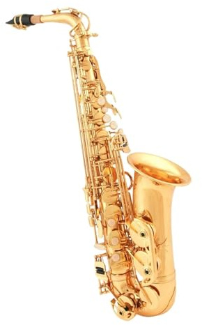 Goldlackiertes Professionelles Altsaxophon Professionelles Altsaxophon Für Erwachsene In Es Tonart Für Anfänger