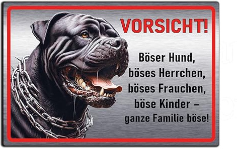 Vorsicht Hund Schild lustig – Warnschild Hund für Garten, Zaun & Haustür – Wetterfestes Hundeschild aus Aluminium Verbund in Edelstahl-Optik – Lustiges Metallschild „Böser Hund“ (30x20 cm)