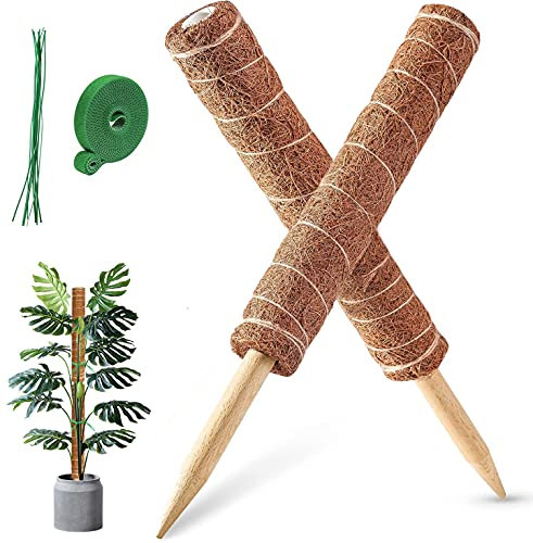 MABUSIYI Moss Pole, 2PCS 40CM/16inches Coir Moss Pole for Monstera & Cheese Plant, Plant Stands Indoor, 20 Cable Ties and 2M Garden Ties(16 2PCS)