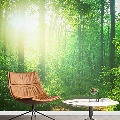 SIGNFORD Removable Wall Sticker/Wall Mural Sunlight Sunshine Summer Forest Trees Nature Wilderness Photography Realism Rustic Farmhouse/Country Decorative for Living Room, Bedroom, Office - 66x96