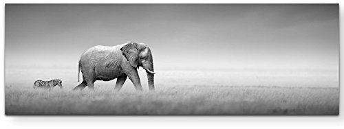 Paul Sinus Art Leinwandbilder | Bilder Leinwand 120x40cm Elefant und Zebra in der Afrikanischen Steppe