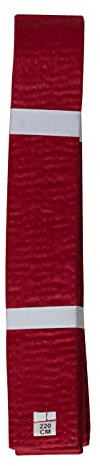 lisaro Premium Budogürtel, Kampfsportgürtel,Kampfsportgürtel für Karate Judo Taekwondo Ju-Jutsu BJJ | Gr. 160-320 cm | 4 cm breit