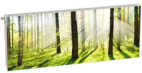 Magnet Heizkörperverkleidung Heizkörperabdeckung Grün Natur 160x60 cm Heizung Abdeckung Verkleidung Magnetische Abdeckmatte Kühlschrank aus Einem Flexiblen Magneten Digitaler Aufdruck