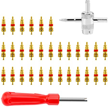 32 Piezas Removedor Núcleos de Válvula, VooGenzek con Cabeza Sola Herramienta, Tire Valve Core Remover 4 en 1, Núcleo de Válvula de Cobre Puro, para Coche, Bicicleta, Motocicleta
