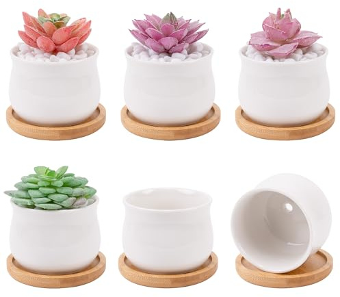 Leismy 6 PCS Succulent Pot Cactus Containers White Ceramic Planter with Drainage Hole and Removable Tray Small Plant Pots for Home Office Decor Bonsai Container for Indoor Outdoor Plants (Millet Jar)