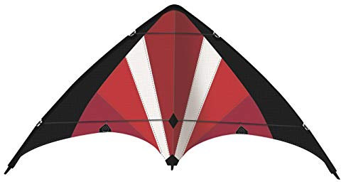 Günther Flugspiele 1070 - Sportlenkdrachen Power Move, ca. 130 x 69 cm, Drachen aus reißfestem Ripstop-Polyester, für Kinder ab 8 Jahren, inkl. hochwertigen Schnüren auf Lenkrollen