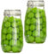 Koomuao Jumuao - Lot de 2 bocaux en verre à étrier métallique - Bocaux de fermentation - Bocaux à remplir - Pour oats nocturnes, inserts, conserves, conservation et préparation des repas (1500 ml)