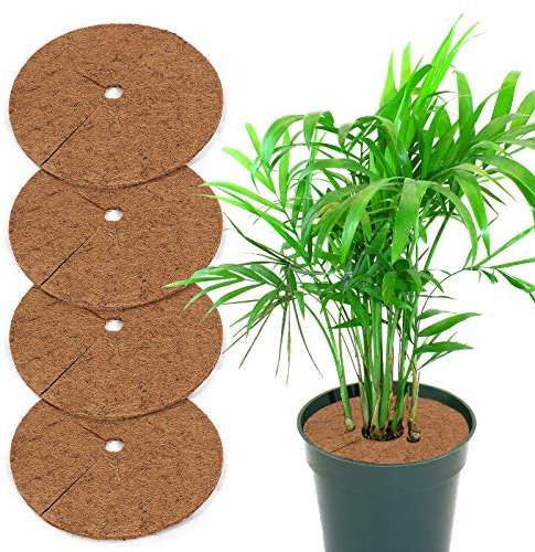 Yisscen Kokosscheibe, 4 Stück Kokos-Mulchscheibe, Winterschutzpflanzen Gartenarbeit, Coconut Mat Disc Mulch Topf Pflanzenschutzmatte für Home Hotel Garden (30cm)