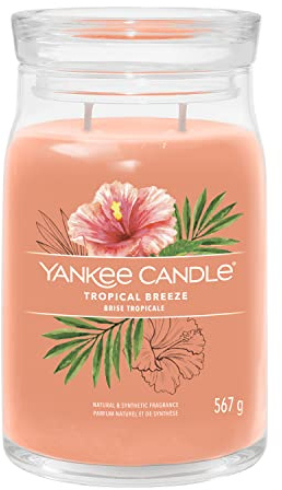 Yankee Candle Signature Duftkerze | große Kerze mit langer Brenndauer „Tropical Breeze“ | Soja-Wachs-Mix | Perfekte Geschenke für Frauen