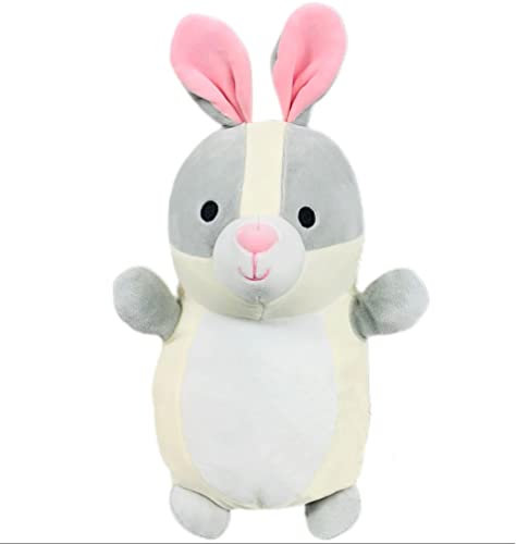 Squishmallow Official Kellytoy Hug Mees Collectible Squishy Soft Pillow Animal Pets (Lorita The Rabbit, 10 Inch)