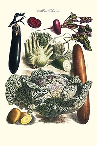 Vegetables Cucumber cabbage eggplant potato and beet Illustration from a famous French seed catalog and the vegetables that can be grown Poster Print by Philippe-Victoire Lev?que de Vilmorin (18 x 2