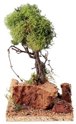 Holyart Baum aus Flechten 15 cm hoch für DIY-Krippe
