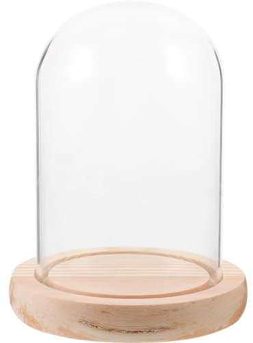 Kichvoe Glaskuppel Mit Holzsockel Transparente Glashaube Für Konservierte Blumen Dekorative Figuren Und Kerzen Für Tischdekoration Und Zum Muttertag