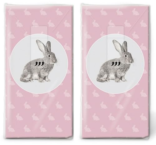 20 einzelne Taschentücher Ostern Hase im Kreis. 2 Packungen mit 10 einzelnen Papiertaschentücher bedruckt als Geschenk.