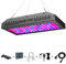BOSYTRO Luz de crecimiento de plantas 1200W LED Cultivo Interior, LED Grow Light Lámpara de Plantas Espectro Completo Ligero, termómetro de humedad con IR UV cuerda ajustable para Plantas de Interior
