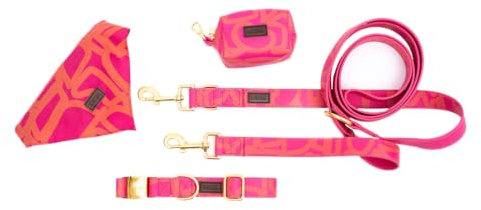 bo&flash Hundeleinen Set Charleston für mittelgroße Hunde – Bequemes Hundehalsband mit 2,5 m Leine – 4 tlgs. Set aus veganem Leder mit verstellbarem Halsband und charmantem Halstuch – Chouk – M