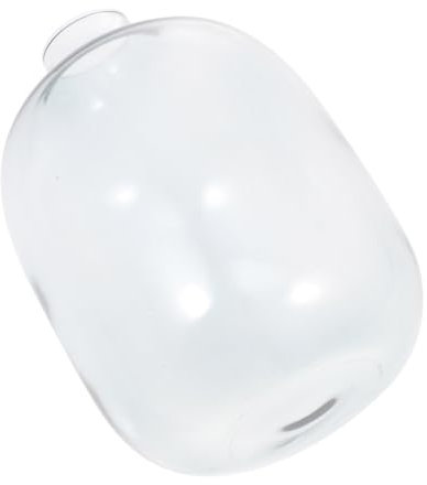 Jarrón de Cristal Hidropónico de Escritorio de Vidrio para Arreglos